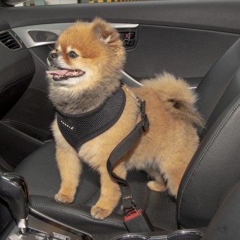 Ремень безопасности для собак автомобильный PUPPIA, 30-50см