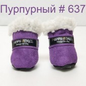 Сапоги Puppy Angel Морозко, Пурпурный (012-013 PA-SS)