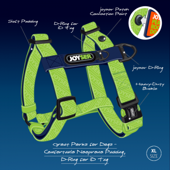 Шлейка для собак JOYSER Base Step-in Harness XL зеленая