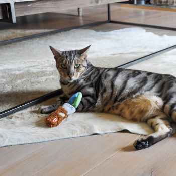Игрушка для кошек с кошачьей мятой ROSEWOOD "Спящий Зайка", разноцветная, 16см