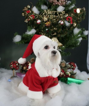 Куртка для собак с капюшоном новогодняя PUPPIA "Santa", красная