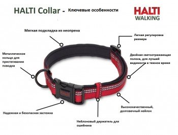 Ошейник для собак "HALTI Collar", фиолетовый