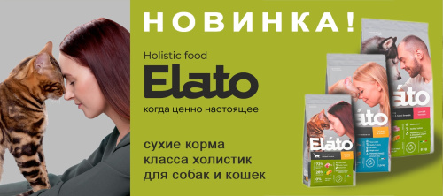 ELATO - Новый бренд на наших полках ELATO - Новый бренд на наших полках